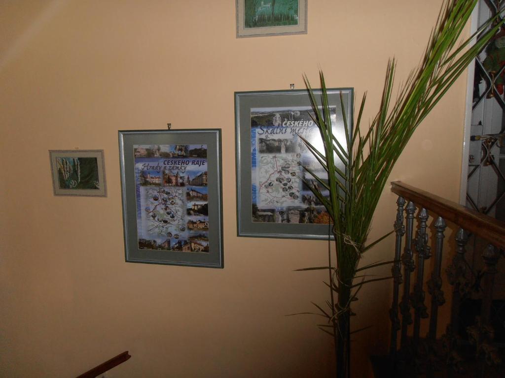 Penzion u České Koruny room 5